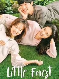 Big poreseuteu/ 빅 포레스트 genre : Little Forest 2018 Rotten Tomatoes