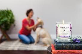 — tap a buy option to place the product in the cart and proceed with your order. One Fur All On Twitter 41 Products Reviewers Say Are Helping Them Through Quarantine Https T Co V4ii6xwxma Via Dilemmalord B7zzfeed Trending Home Candles Soycandles Pets Https T Co Ncqkh4xtqq