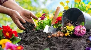 Wondering if there is a way to walk back from it, or just cross my fingers and. How Garden Leave Works Smartasset
