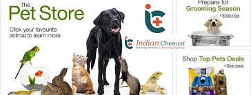 Pet Accessories Order Online Buy Pet Accessories Products Buy Pets Pet Accessories Pets