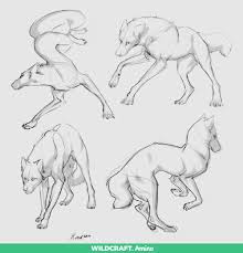 Pin By Hay Hay On Sketches Canine Drawing Animal Drawings Animal Sketches