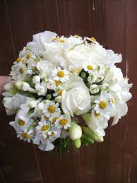 White Lisianthus And Camomile Daisies With Akito Roses Freesia And Bouvardia Cream Wedding Flowers White Wedding Bouquets Wedding Flowers