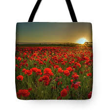 Sunset At Poppy Field Tote Bag by Danny Birrell Photography