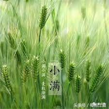 Qǐng dīng yún kànkan wǒmen de xīn fángzi. å°æ»¿çš„ æ»¿ æ˜¯ä»€éº¼æ„æ€ æ¯æ—¥é ­æ¢