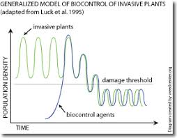 Predation is the ecological interaction between predators and preys where predators drives energy from preys. Impacts Biological Control Management Methods Managing Invasive Plants