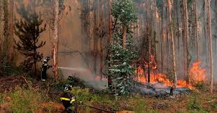 images?q=tbn:ANd9GcTDCCkrSSFWbQPhPzs8ewCbhysV5geR5gRx5g&usqp=CAU