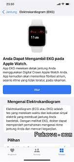 Apa itu ECG atau EKG di Apple Watch? | PUKEVA