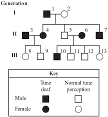 heredity mendel genetics mcas standard 3 mrs forhan