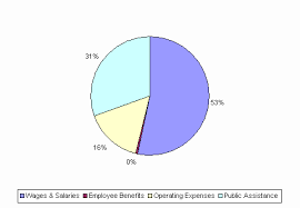 Fy2009 Budget 45131024 Shaken Baby Syndrome Prevention Program General Appropriations Act
