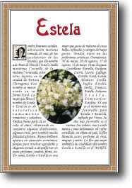 Nombre Estela Lamina Descargable En Formato Pdf Con Impresiones Ilimitadas Heraldicafamiliar Com