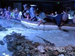 Fun Things To Do With Kids In Idaho Falls Id On Familydaysout Com Travel Usa Idaho Falls Fun Things To Do