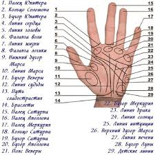 как по руке узнать сколько будет детей у женщины Pin By Zuma Amekova On Knigi Palm Reading Palmistry Learn Astrology