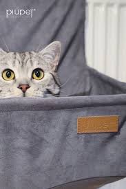 Hauskatzen gehören keiner bestimmten rasse an, sie sind eine unterart der wildkatze. Katze Heizungsliege Katzen Katzen Hangematte Katzen Spielzeug