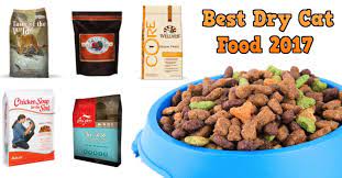 Top 10 Best Dry Cat Food Brands For 2017 Wellness Cat Food Healthy Cat Food Cat Food