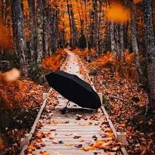 Paraiele plang plecarea calda a verii, pasarile pleaca iar spre nicaieri, frunzele palide ca ceara de lumanare cad si mor, flori tarzii si ofilite incearca sa aduca veselia de alta data, dar vremea ne spune ca a trecut timpul florilor efemere, toamna isi intra in drepturi. Foc Cutie De Carton Tranzitoriu Fotografii Peisaje De Toamna Zeppconstruction Com