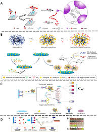 For some patient serum samples, the lips n and elisa n signals appeared before the lips s1 and. Emerging Strategies To Enhance The Sensitivity Of Competitive Elisa For Detection Of Chemical Contaminants In Food Samples Sciencedirect