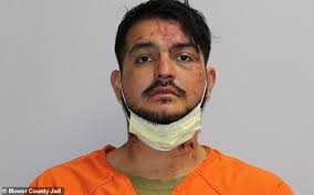 Teen stops domestic attack