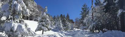 We especially like the deluxe cabins with jacuzzi spas in the master bedroom. Top 20 Snow Summit Cabin Rentals From 89 Night Vrbo