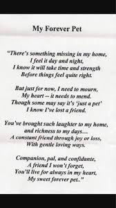Source Unknown Dog Poems Pet Poems Losing A Pet