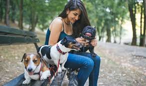 Our staff work 4 10 hours shifts each week. 13 Ways To Prepare Before You Hire Dog Walker