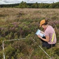 Image result for Phoebe Gray 1942 Mercury