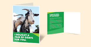 Because of this many places are turning away from letting people use prepaid gift cards especially if their credit. Donate A Pair Of Goats Charitable Gifts Oxfam Gifts