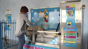 Could of done better with the vacuuming. Self Serve Self Washing Dog Wash Station In Granby At Horses Hounds