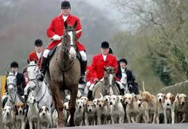 Drawing cover', john nost sartorius, 1805 this is one of four. Fox Hunting Is Against The Law And Yet Carried On As Usual This Xmas Imagine If A Gang Of Kids Had Ripped An Animal Apart Louder Than War