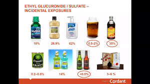 How long is alcohol detectable in your body? Six Facts About Testing For Ethyl Glucuronide Etg Cordant Health Solutions