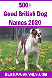 Good British Dog Names In 2020 Boxer Dog Names Female Dog Names British Dog