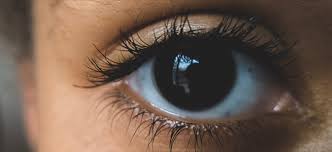 Kontaktlinsen gelten als unsichtbare sehhilfe, die fast jeder tragen kann. 12 Kontaktlinsen Mythen Aufgeklart Lensblog