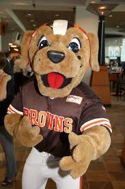 A dog character named chomps and a real dog named swagger. Pin On Browns Fever