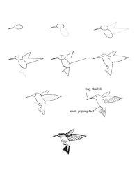Sketch Birds Flying In The Sky Drawing Pin By Kari Vanhoozer On Hummingbird School Bird Drawings Drawing Lessons Drawings