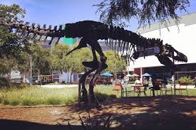 There Is A Dinosaur On The Google Campus Wtf Trex Dinosaur Google Googleplex Mountainview Sanfrancisco Calif Insta Travel Instagram Photo Instagram