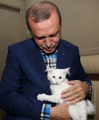 Tayyip Erdogan In Kedisi Vs Ataturk Un Kopegi Uludag Sozluk