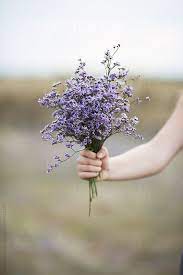 The image can be easily used for any free creative project. Female Hand Holding Flower Bouquet By Jovana Rikalo Purple Flowers Flower Aesthetic Flowers Bouquet