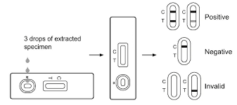 A positive result likely means that you are infected. Covid 19 Rapid Tests Assay Genie