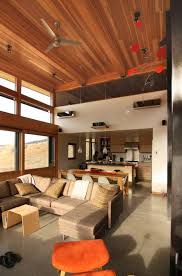 Cedar Ceilings Love Them Modern Living Room Living Room Modern Interior Design