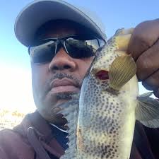 Puddingstone II 2022