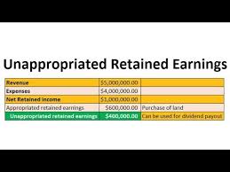 Appropriated retained earnings are set aside by. Unappropriated Retained Earnings How To Calculate Youtube