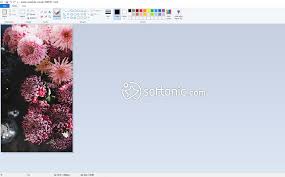 Explore colors, tools and techniques. Ms Paint Download