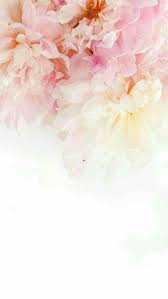 Bloemen Flower Wallpaper Beautiful Wallpapers Iphone Background