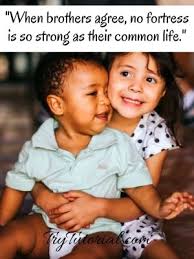 Annoying quotes cute sister quotes redneck quotes for guys sister love quotes annoying sister quotes annoying people quotes older brother quotes funny quotes about little brothers little brother quotes poems little sister quotes my brother quotes sibling quotes big sister quotes. 150 Best Instagram Captions For Brothers Quotes 2021 Trytutorial