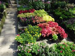 One of the leading pvc mat makersfor over 13 years, allied flourish sdn bhd has been the first and the only pvc coil mat maker in malaysia. Sungai Buloh Nursery Plant