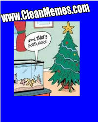 Alison Handley: Christmas Ocd Meme