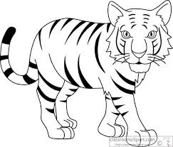 The white tiger (2021) the epic journey of a poor indian driver who must use his wit and cunning to break free from servitude to his rich masters and rise to the top of the heap. Black Clipart White Tiger Black White Tiger Transparent Free For Download On Webstockreview 2021