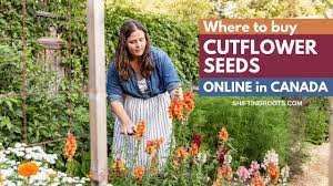 Check spelling or type a new query. 20 Canadian Seed Companies Nurseries To Order The Garden Or Landscape Of Your Dreams Shifting Roots