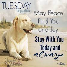 Maybe you would like to learn more about one of these? 50 Best Happy Tuesday Quotes And Sayings With Pictures