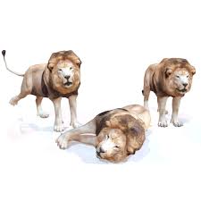 Lion Rigged 3d Model African Lion Animal Pictures Animals