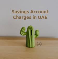 See more in our guide to how compound interest works. Do You Hold A Savings Account In Uae Know Your Bank Charges Credit Blog Moneymall